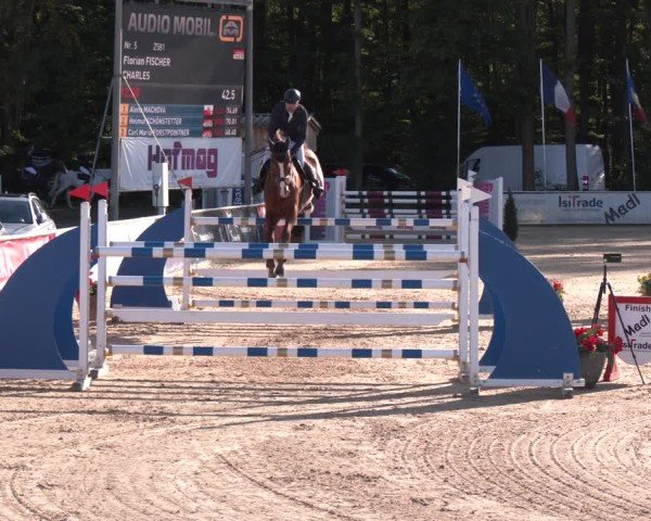 Reitturnier Ranshofen - Braunau am Inn 2024