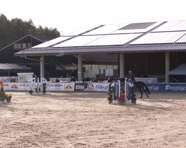 Reitturnier Ranshofen - Braunau am Inn 2024