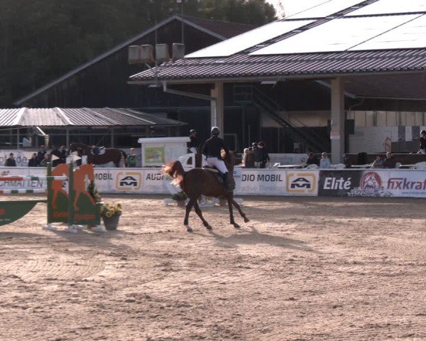 Reitturnier Ranshofen - Braunau am Inn 2024