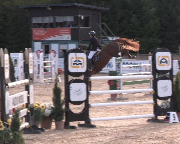 Reitturnier Ranshofen - Braunau am Inn 2024