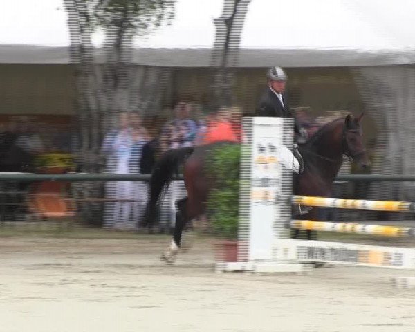 Großes Reit- und Springturnier 2013 des RuF