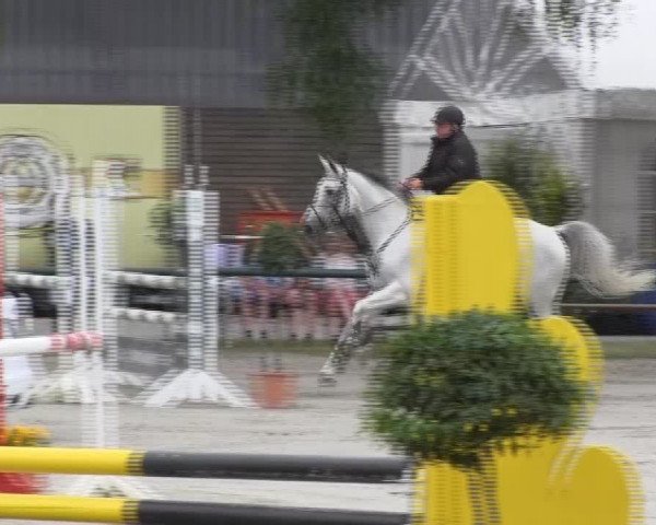 Großes Reit- und Springturnier 2013 des RuF