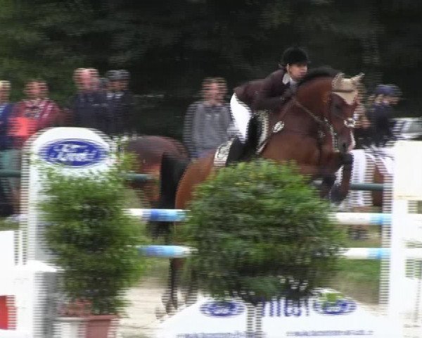 Reitturnier Herbern 2013