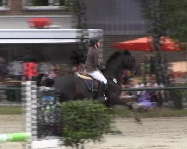 Reitturnier Herbern 2013