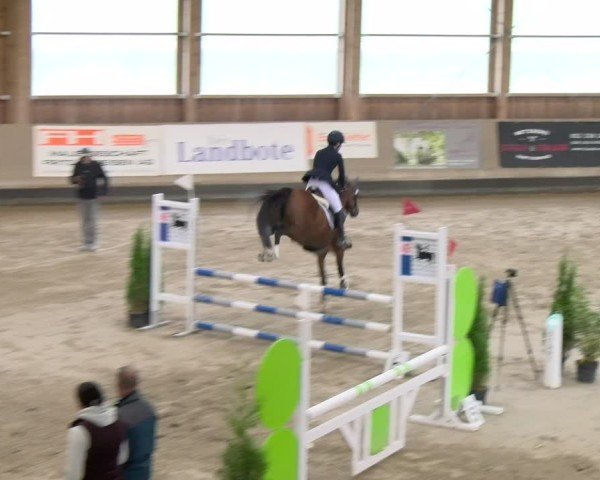 Reitturnier Winterthur 2024