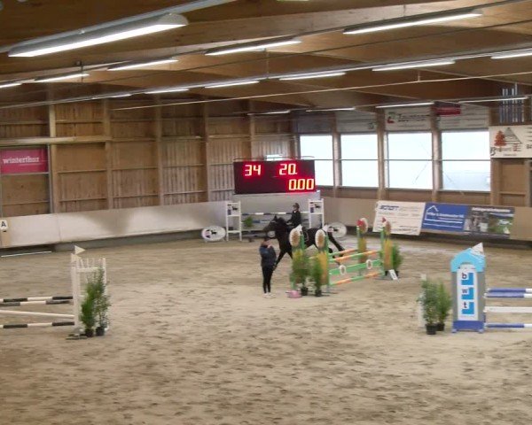 Reitturnier Winterthur 2024