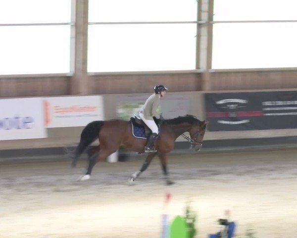 Reitturnier Winterthur 2024
