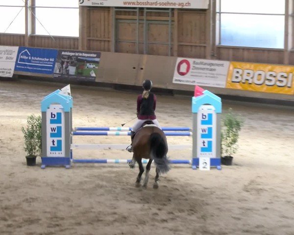 Reitturnier Winterthur 2024
