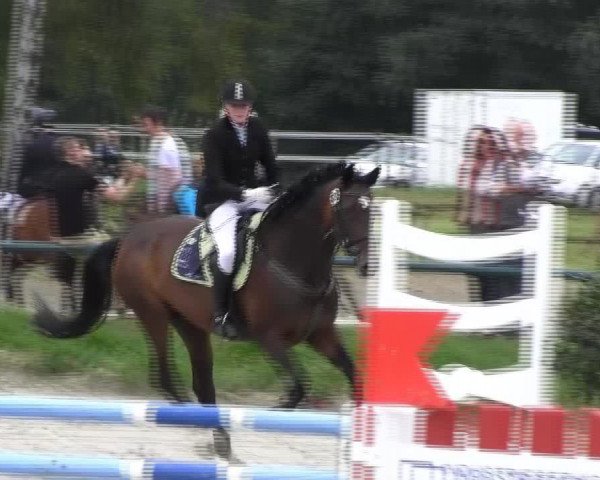 Reitturnier Herbern 2013