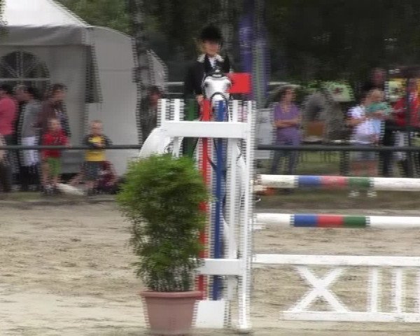 Reitturnier Herbern 2013