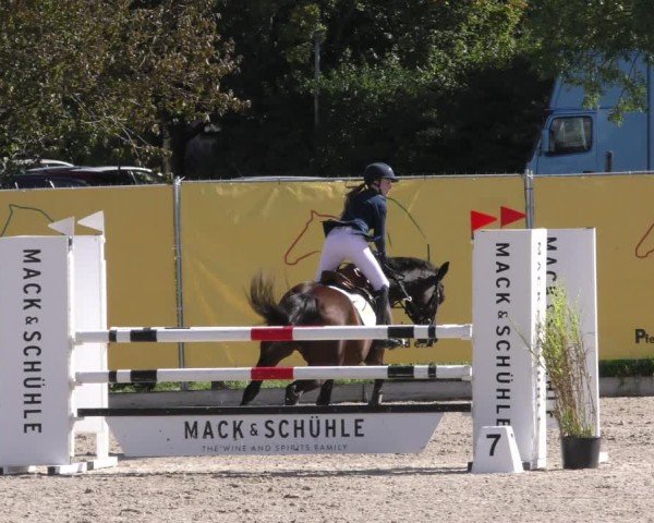 Reitturnier Weilheim/Teck 2024