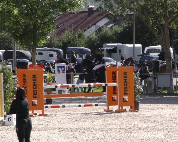 Reitturnier Weilheim/Teck 2024
