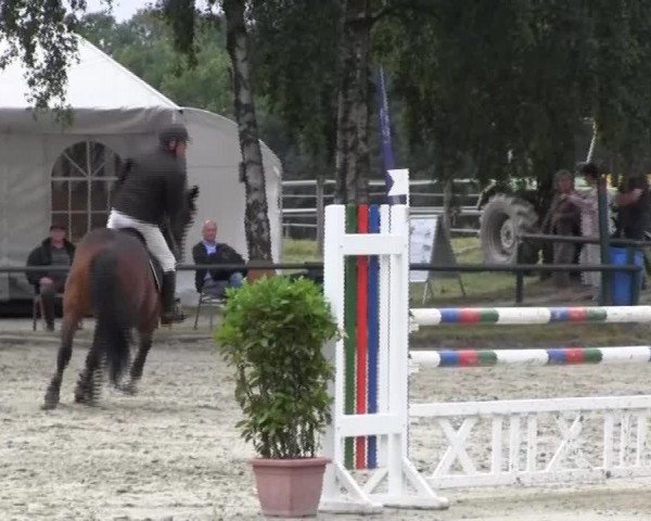 Reitturnier Herbern 2013