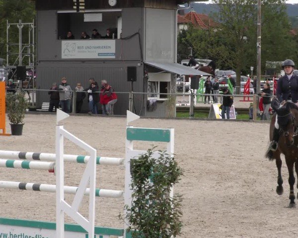 Reitturnier Weilheim/Teck 2024