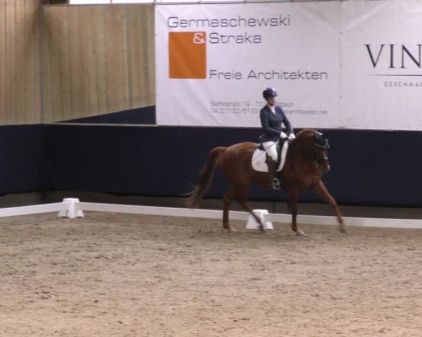 Reitturnier Weilheim/Teck 2024