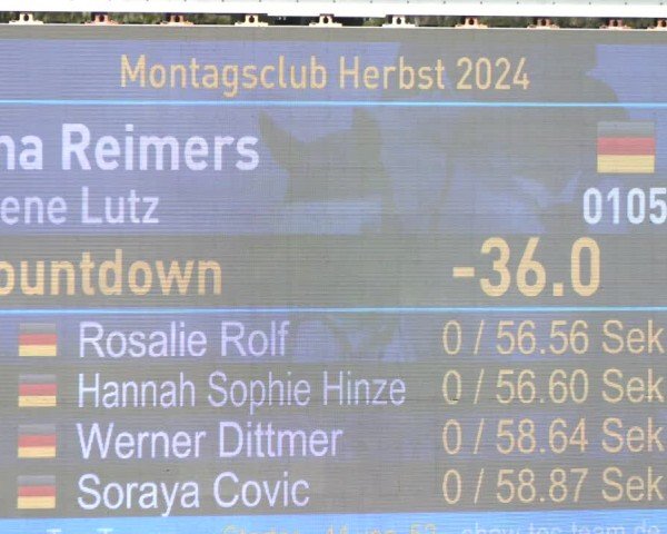 Reitturnier Westergellersen 2024