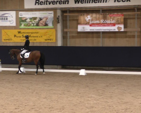 Reitturnier Weilheim/Teck 2024