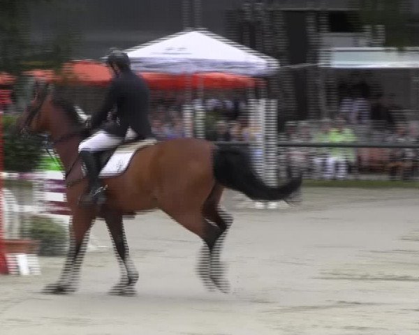 Reitturnier Herbern 2013