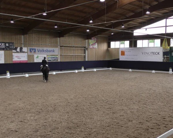 Reitturnier Weilheim/Teck 2024