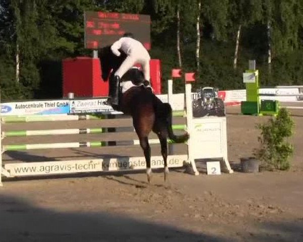 Großes Reit- und Springturnier 2013 des RuF