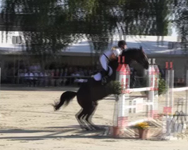 Großes Reit- und Springturnier 2013 des RuF
