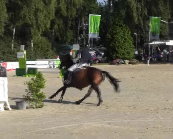 Reitturnier Herbern 2013