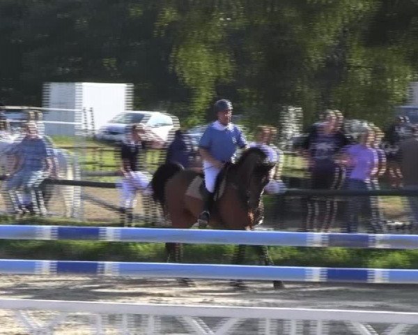 Großes Reit- und Springturnier 2013 des RuF