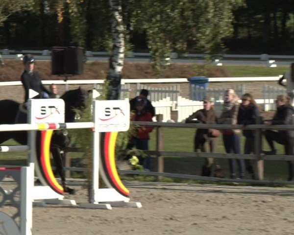 Reitturnier Westergellersen 2024
