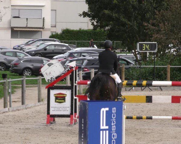Reitturnier Weilheim/Teck 2024