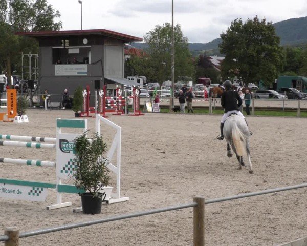 Reitturnier Weilheim/Teck 2024