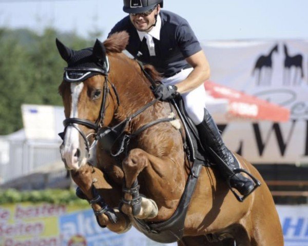 jumper Lorio Von Pachern (Oldenburg, 2007, from Ludwig von Bayern 168 FIN)
