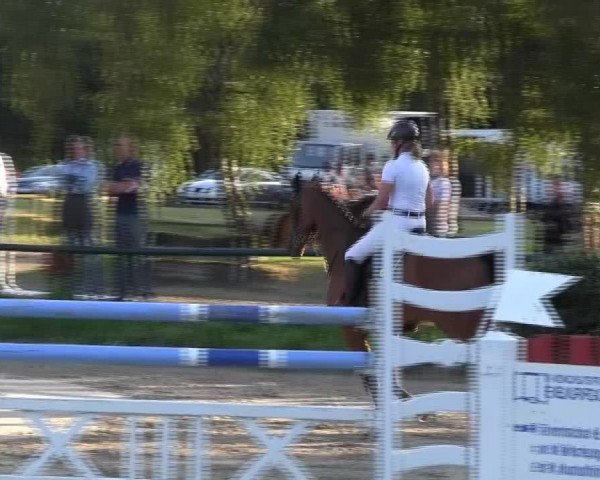 Reitturnier Herbern 2013