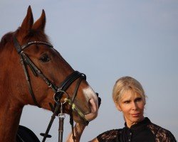 dressage horse Bonavista 5 (Oldenburg, 2019, from Borsalino)