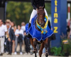 jumper Sascinora NRW (Westphalian, 2018, from Stakkato Boy RM)