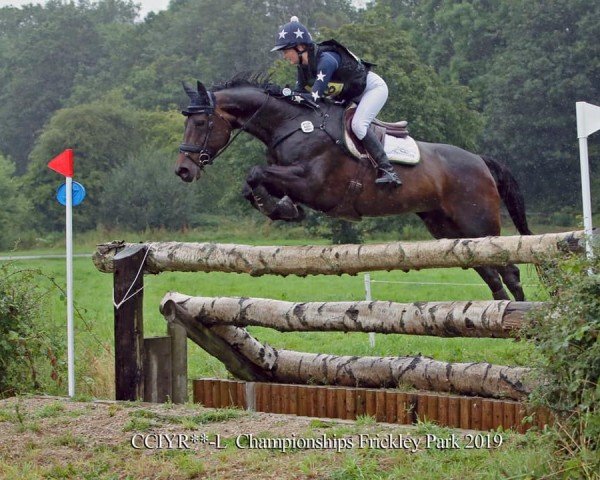 jumper Cafre First Melody (anglo european sporthorse, 2010, from Corea)