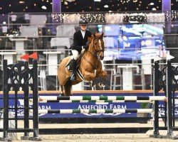 jumper Kiwani van Orchid's (Nederlands Rijpaarden en Pony, 2014, from Kanshebber)