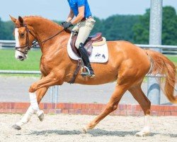 broodmare Juvia VEC (Holsteiner, 2017, from Balou du Rouet)