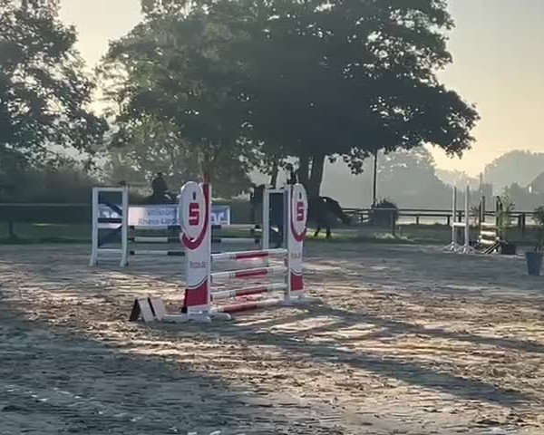 Reitturnier Voerde 2024