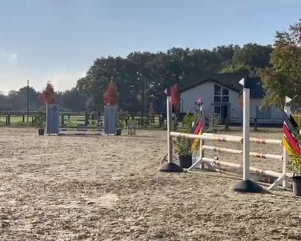 Reitturnier Voerde 2024