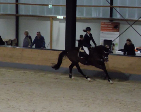 Reitturnier Borken 2024