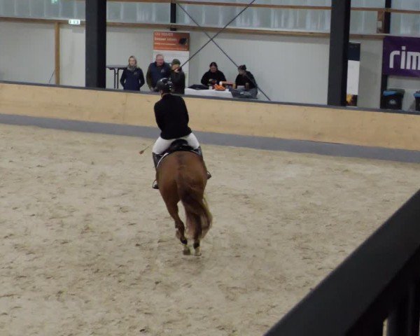 Reitturnier Borken 2024