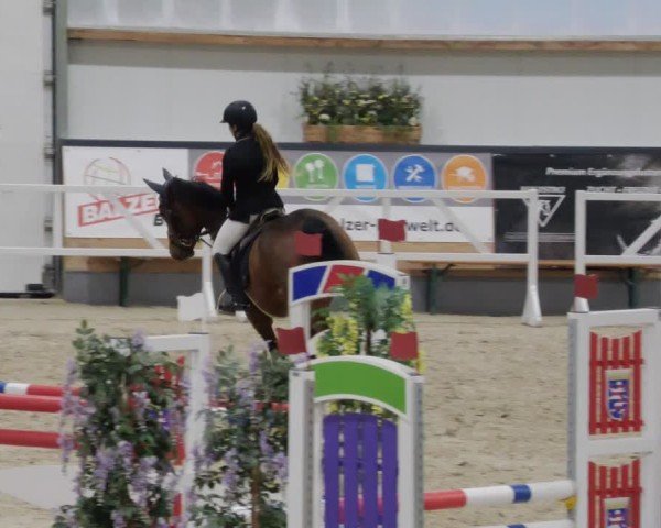 Reitturnier Borken 2024