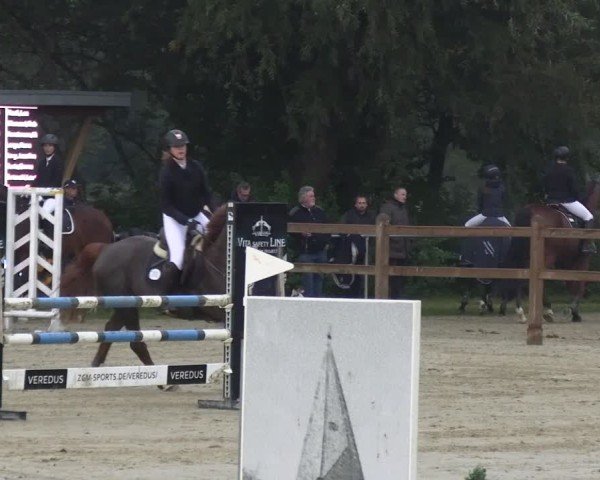 Reitturnier Kamen 2024