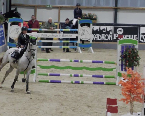 Reitturnier Borken 2024