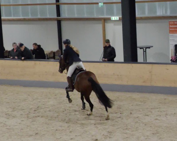 Reitturnier Borken 2024