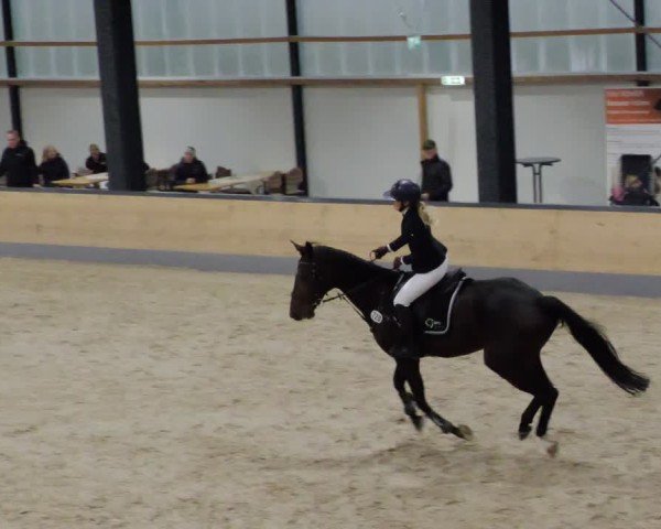 Reitturnier Borken 2024