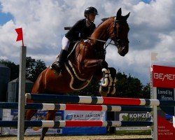 Springpferd Gabon 9 (KWPN (Niederländisches Warmblut), 2016, von Capri)