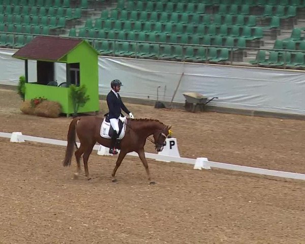 Reitturnier Kreuth/Opf. 2021