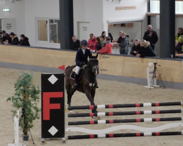 Reitturnier Borken 2024
