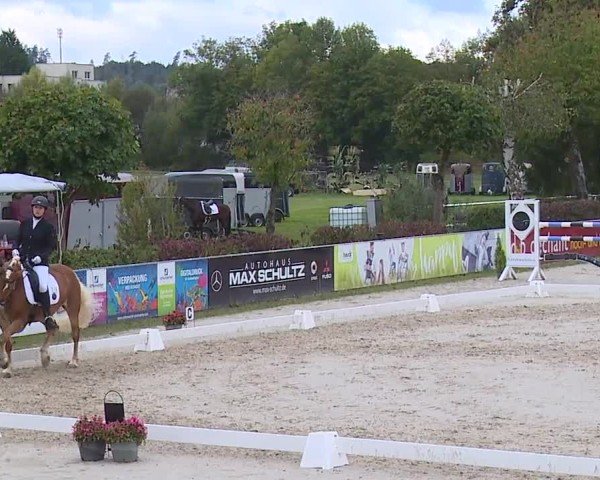 Reitturnier Frankenhof-Sonnefeld/Ofr. 2024